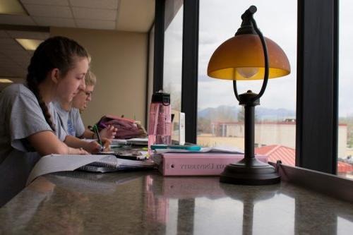 students studying in Nielsen Library