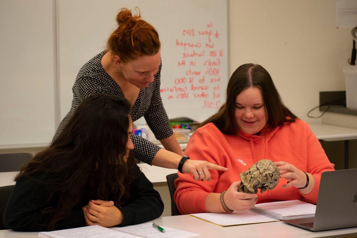 Caroline Gabe points something out to two students in class.